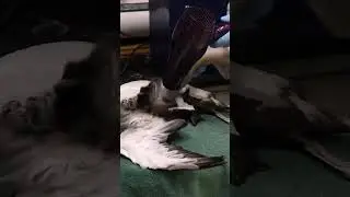 Science Techniques l PhysicsbyRS