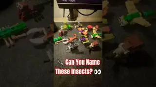 🐜 Can You Name These Insects? 👀 | Fun Bug Quiz for Kids with Hopie 🦋🌸 | Learning for Toddlers
