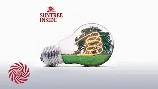 Suntree - Private Guide (Album Edit)