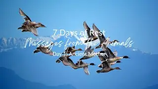 7 Days 2024: Messages from the Animals | Theme: Ancient Mother