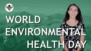 World Environmental Health Day