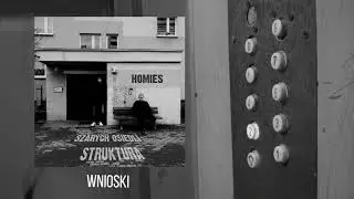 Homies - Wnioski