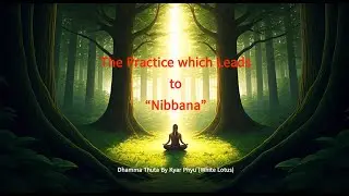 Pa Auk Sayadaw Meditation Practice in English for finding Inner Peace