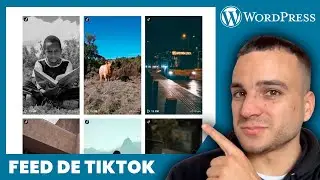 C&oacute;mo a&ntilde;adir TikTok a tu p&aacute;gina web | Tiktok Feed WordPress Tutorial | Plugin Gratis Actualizado!