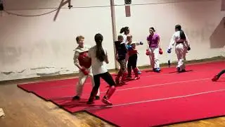Karate sparring