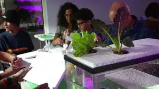 Our First Aquaponics Workshop - Delray Beach, Florida