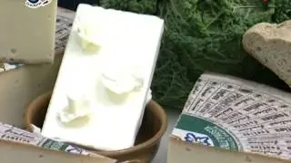Fontina DOP