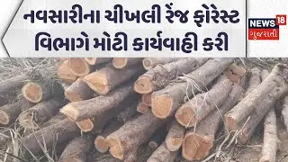 Timber smuggling in Navsari | નવસારીના ચીખલી રેંજ ફોરેસ્ટ વિભાગે મોટી કાર્યવાહી કરી |News18 Gujarati