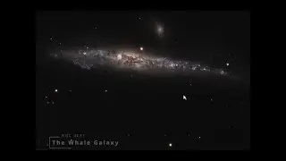 NGC 4631 - The Whale Galaxy