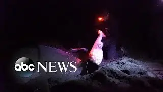 Remote Costa Rican Beach Becomes Battleground Over Sea Turtle Eggs