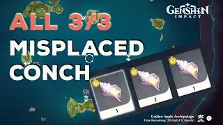 All 3/3 Misplaced Conch Locations || Summertime Odyssey || Genshin Impact 2.8