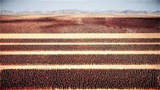 500,000 Orcs Vs 50,000 Roman Generals | Ultimate Epic Battle Simulator 2 | UEBS2