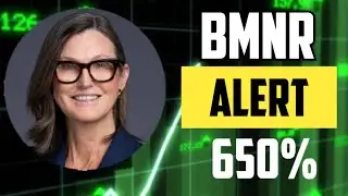 ОБНОВЛЕНИЕ ПО АКЦИЯМ BMNR! - ЧТО ПРОИСХОДИТ? - ПОДХОДИТ ЛИ СЕЙЧАС ВРЕМЯ ДЛЯ ПОКУПКИ АКЦИЙ BITMINE...