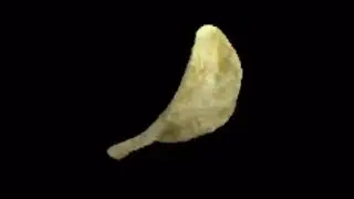 chip spinning for 4 hours 17 minutes and 20 seconds straight