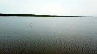 Polska z drona - Jezioro Sarbsko, Łeba