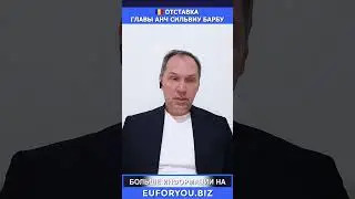 Гражданство Румынии: Отставка главы АНЧ Сильвиу Барбу #shorts