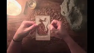 Reading Highlights - 12/27/25 - For The Love of Dragons Oracle 