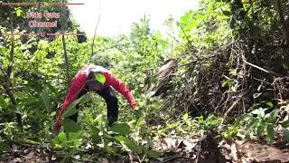 Jerat monyet