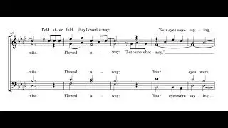 Winter Sun - Mitchell Fund