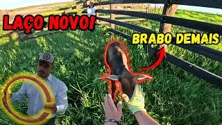 Testando o La&ccedil;o da Tomahawk &mdash; Bezerro Mais Bravo do Mundo 😱 [Prova de Lida]