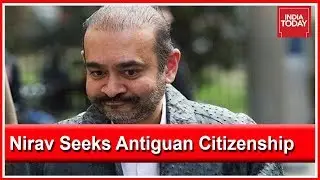 Nirav Modi Applies For Antiguan Citizenship, Gets Rejected