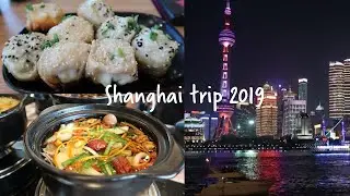 2019 Shanghai Trip Vlog | Street Food, Cat Cafe, Oriental Pearl Tower, and More!