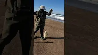 DIY Baits for SURF PERCH Fishing!