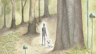 Tom Day - Forest for the Trees