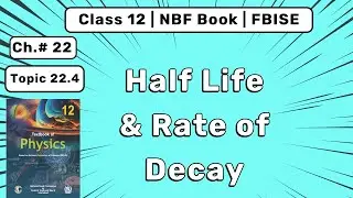 Half Life and Rate of Decay | Class 12 Physics Ch 22 Nuclear Physics