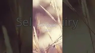 Self-Inquiry | Body Awareness & Stillness #iam #spiritualawakening #selfawareness #meditation