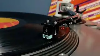 Es Mi Vida · Salvatore Adamo  - Vinilo