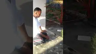 tomeguin comiendo carcio afuera de la casa