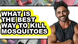 What Is The Best Way To Kill Mosquitoes (UPDATED 2025)