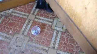 DSCF2347