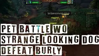 🔝Pet Battle WQ: Strange Looking Dogs - Defeat Burly