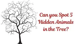 IQ-TEST: CAN YOU SOLVE IT?