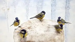 Birding ~ Great tit, Willow tit, Eurasian blue tit and Jay on the new extreme winter feeder ~ CAT TV