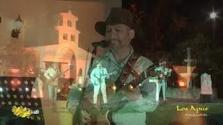 Los Apus del Perú / No podrás olvidarme / concierto virtual 2020 / Tarpuy Producciones