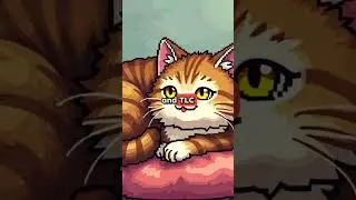 Why Do Female Cats Spray After Being Fixed?
