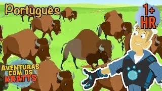 Criaturas da Pradaria | Episódios completos | Aventuras com os Kratts
