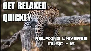 Music for asana, rumination, pondering, contemplation, contrology, balanced body & spirituality.