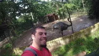Dicas de viagem para a cidade de Recife capital de Pernambuco