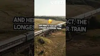🚂 Incredible Facts About Trains! 🚆