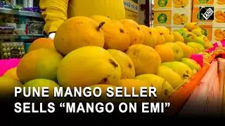 Pune mango seller introduces EMI payment option to woo customers