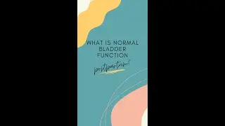 What is normal bladder function after having a baby?