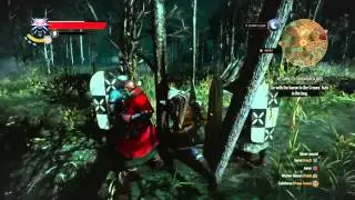 The Witcher 3: Wild Hunt - The Baron Gets Stuck In, a Tree.