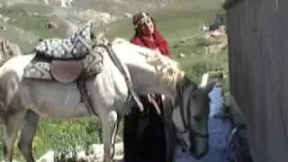 Gazin    Sinane Kriv