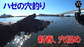 2026年ハゼの穴釣り初め！縁起のいい良型が釣れました