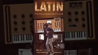 Lat&iacute;n Percussion Plus VST,AU MAC WIN