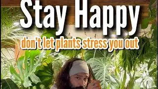 Plants grow back quicker than your happiness!
